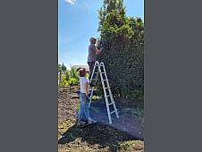 03.07.2021: Bilder vom Projektstart vor Ort